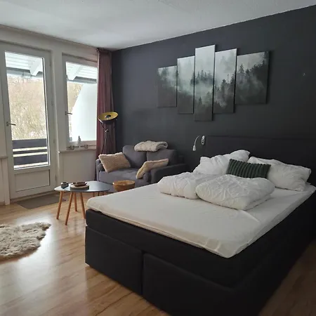 Haus Joern, Ferienapartments Im Harz, Wieda Walkenried