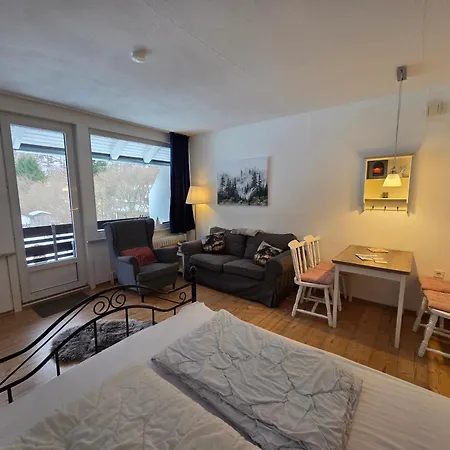 Haus Joern, Ferienapartments Im Harz, Wieda Apartmán