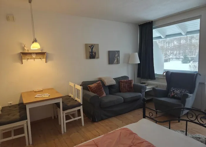 Haus Joern, Ferienapartments Im Harz, Wieda