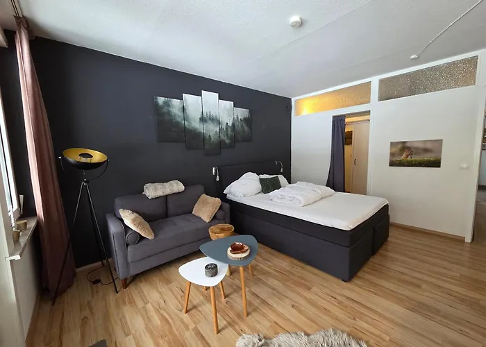Haus Joern, Ferienapartments Im Harz, Wieda Walkenried