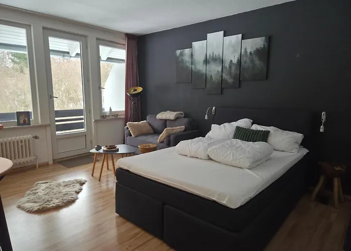 Haus Joern, Ferienapartments Im Harz, Wieda Walkenried