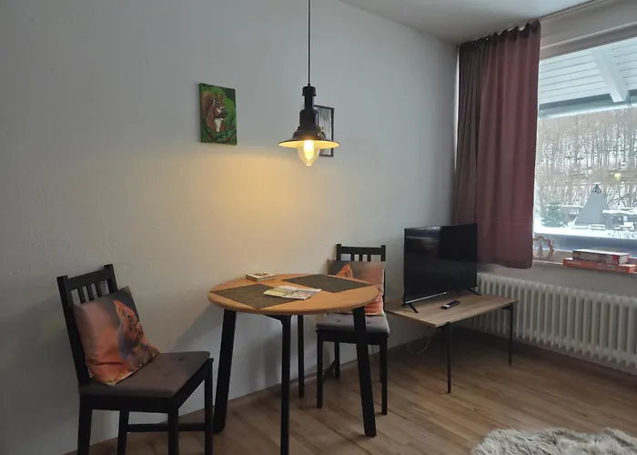 Haus Joern, Ferienapartments Im Harz, Wieda *